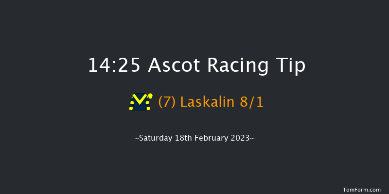 Ascot 14:25 Handicap Chase (Class 1) 24f Sat 19th Nov 2022