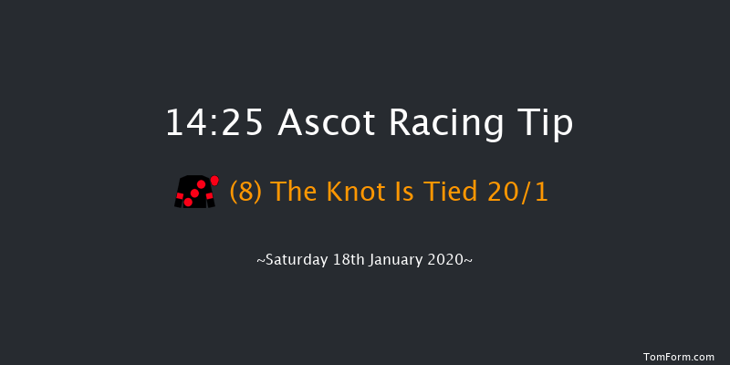 Ascot 14:25 Handicap Hurdle (Class 1) 19f Sat 21st Dec 2019