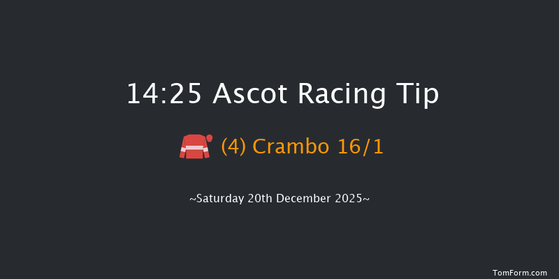 Ascot 14-25 (Class 1) 24f Fri 19th Dec 2025