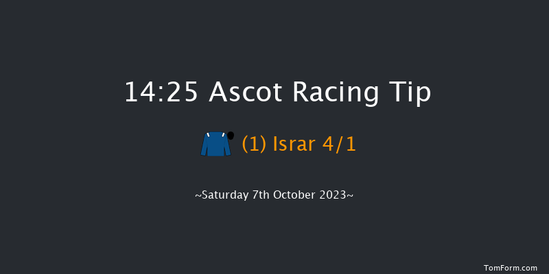 Ascot 14:25 Group 3 (Class 1) 12f Fri 6th Oct 2023