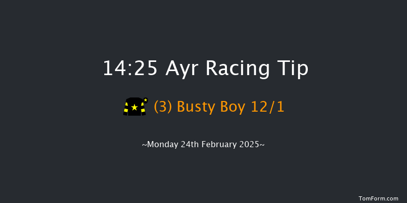 Ayr  14:25 Handicap Chase (Class 4) 24f Tue 11th Feb 2025