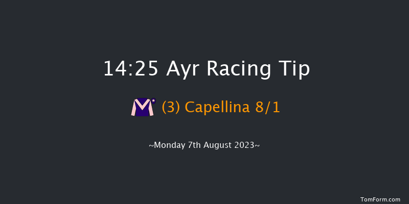 Ayr 14:25 Stakes (Class 4) 7f Mon 31st Jul 2023
