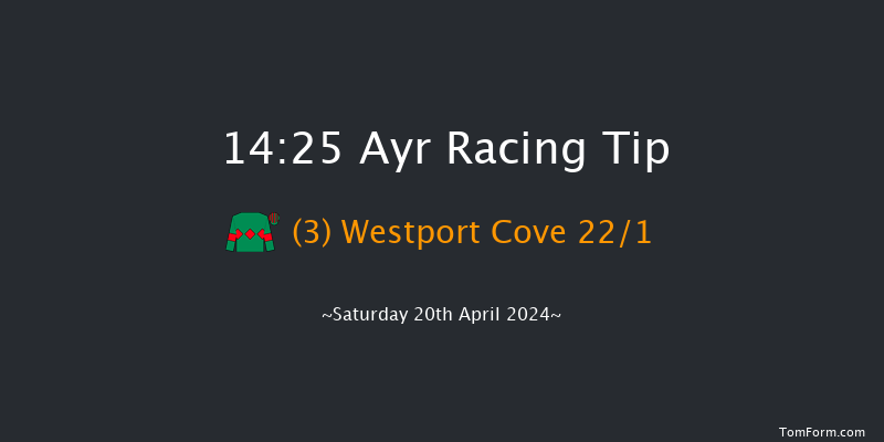 Ayr  14:25 Handicap Hurdle (Class 1) 16f Fri 19th Apr 2024