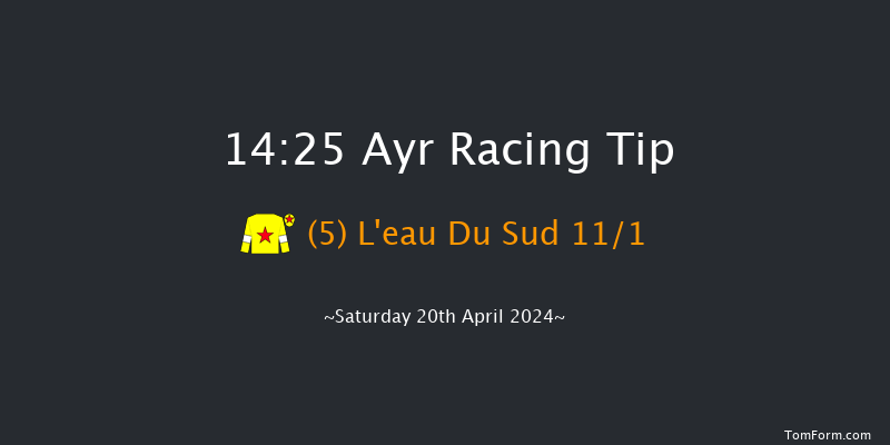 Ayr  14:25 Handicap Hurdle (Class 1) 16f Fri 19th Apr 2024