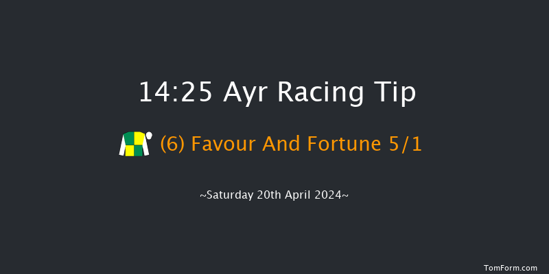 Ayr  14:25 Handicap Hurdle (Class 1) 16f Fri 19th Apr 2024