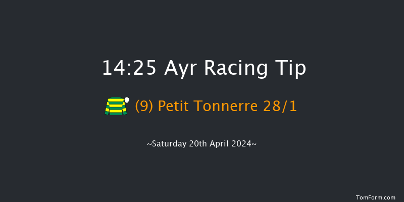 Ayr  14:25 Handicap Hurdle (Class 1) 16f Fri 19th Apr 2024