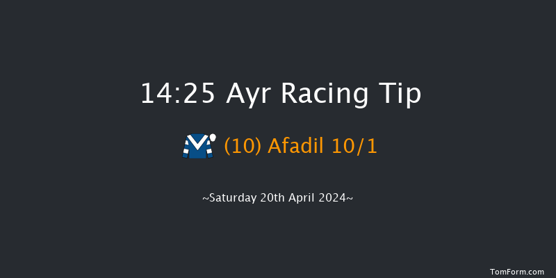 Ayr  14:25 Handicap Hurdle (Class 1) 16f Fri 19th Apr 2024