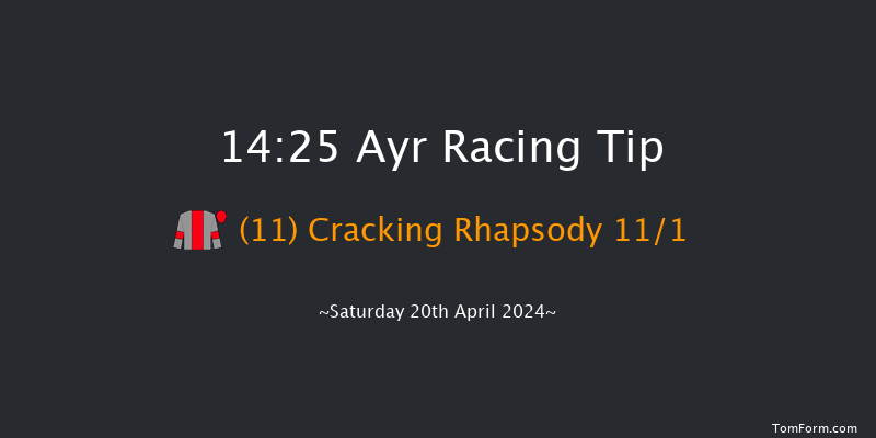 Ayr  14:25 Handicap Hurdle (Class 1) 16f Fri 19th Apr 2024