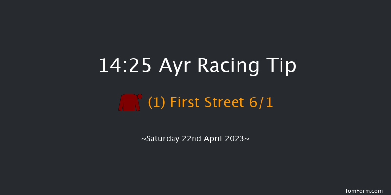 Ayr 14:25 Handicap Hurdle (Class 1) 16f Fri 21st Apr 2023