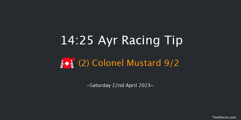 Ayr 14:25 Handicap Hurdle (Class 1) 16f Fri 21st Apr 2023