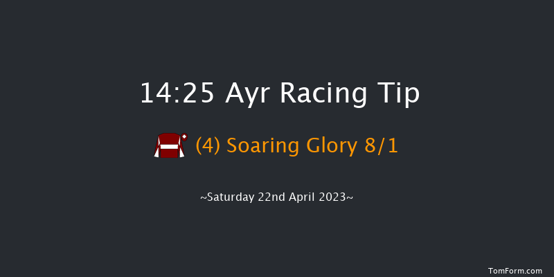 Ayr 14:25 Handicap Hurdle (Class 1) 16f Fri 21st Apr 2023