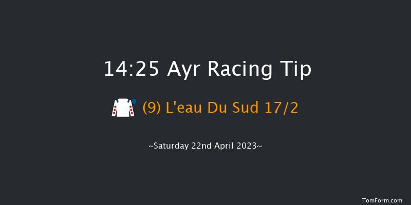 Ayr 14:25 Handicap Hurdle (Class 1) 16f Fri 21st Apr 2023