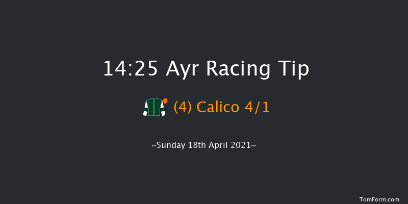 Coral Scottish Champion Hurdle (Limited Handicap) (Grade 2) (GBB Race) Ayr 14:25 Handicap Hurdle (Class 1) 16f Fri 16th Apr 2021