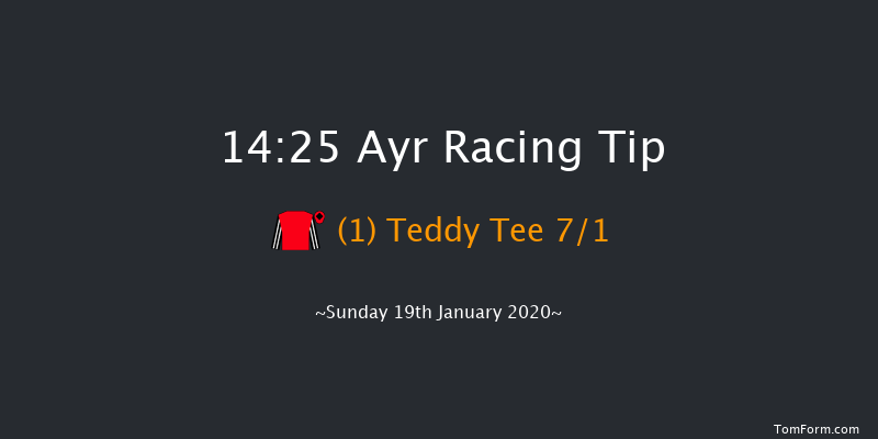 Ayr 14:25 Handicap Chase (Class 4) 27f Mon 6th Jan 2020