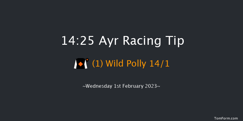 Ayr 14:25 Handicap Hurdle (Class 4) 24f Mon 9th Jan 2023