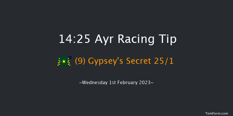 Ayr 14:25 Handicap Hurdle (Class 4) 24f Mon 9th Jan 2023