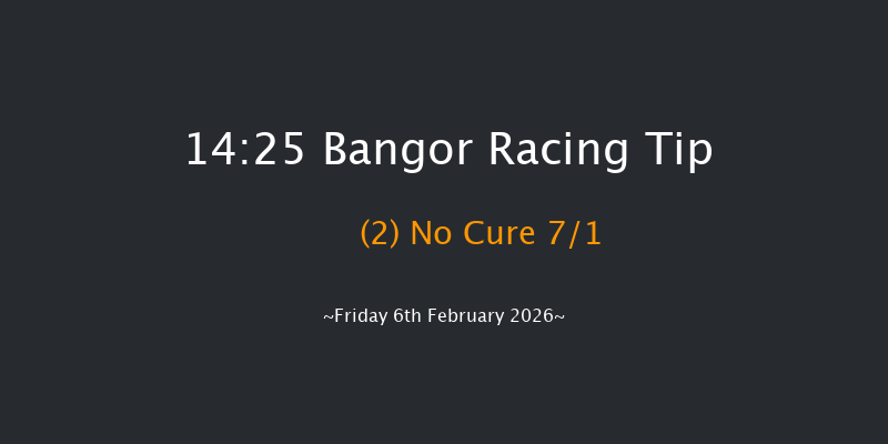 Bangor 14-25 (Class 4) 16f Sat 29th Nov 2025