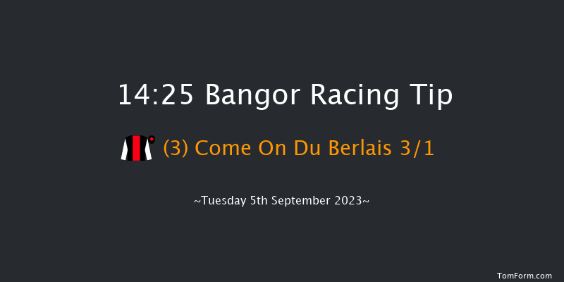 Bangor 14:25 Maiden Hurdle (Class 4) 17f Mon 21st Aug 2023
