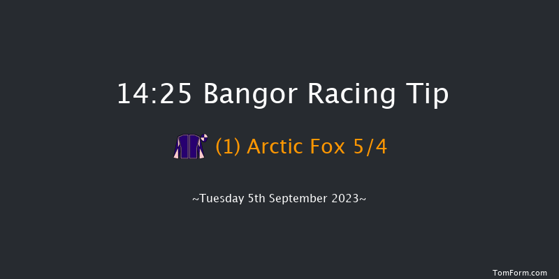 Bangor 14:25 Maiden Hurdle (Class 4) 17f Mon 21st Aug 2023