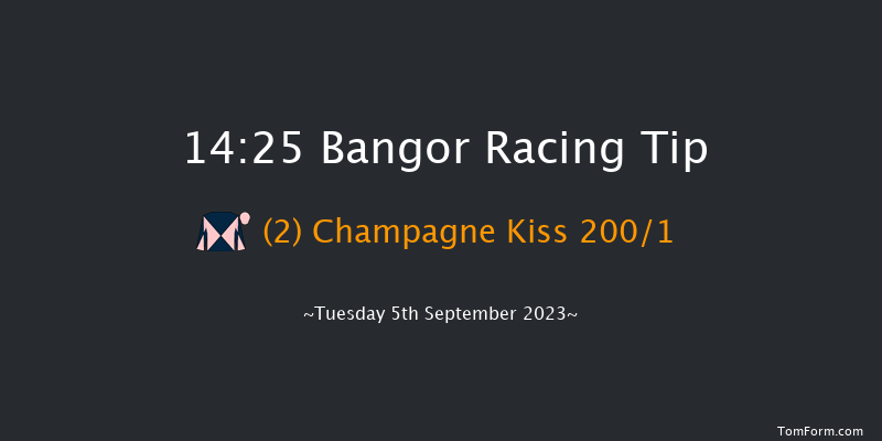 Bangor 14:25 Maiden Hurdle (Class 4) 17f Mon 21st Aug 2023