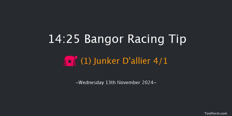 Bangor-on-dee  14:25 Maiden Hurdle (Class 4)
17f Tue 29th Oct 2024