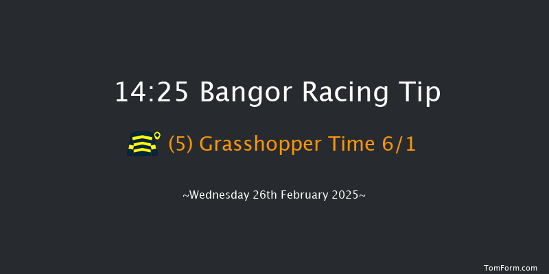 Bangor-on-dee  14:25 Handicap Chase (Class 5) 17f Fri 7th Feb 2025