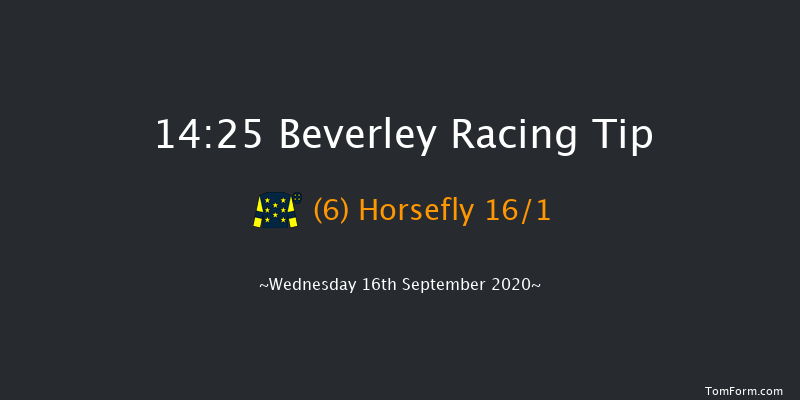 Weel EBF Fillies' Novice Stakes (Plus 10/GBB Race) Beverley 14:25 Stakes (Class 5) 7f Thu 27th Aug 2020