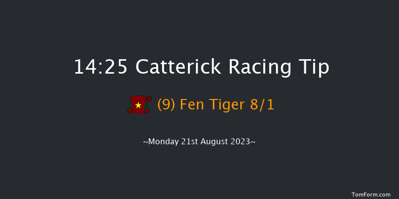 Catterick 14:25 Handicap (Class 5) 12f Tue 8th Aug 2023