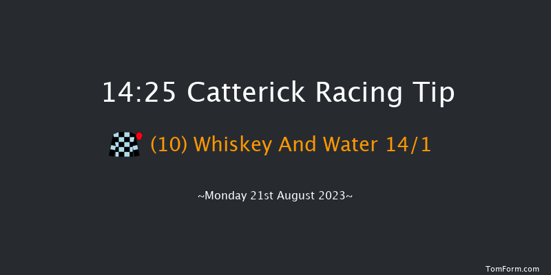 Catterick 14:25 Handicap (Class 5) 12f Tue 8th Aug 2023