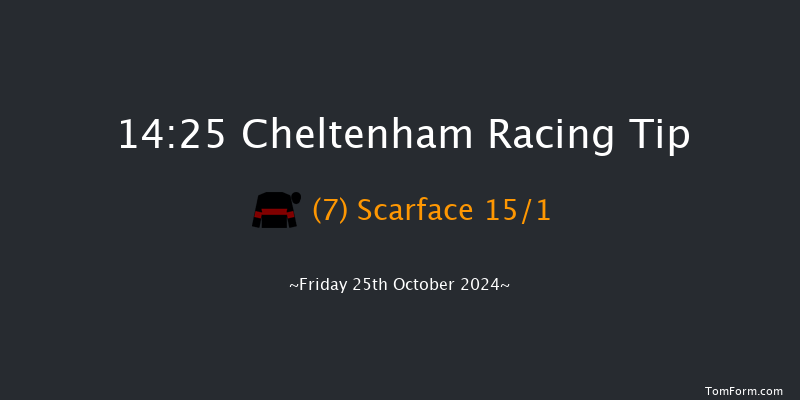 Cheltenham  14:25 Handicap Chase (Class 2) 16f Fri 3rd May 2024