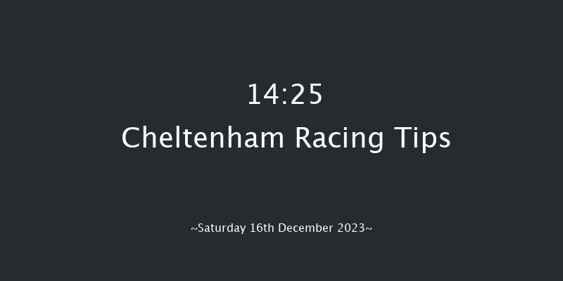 Cheltenham 14:25 Handicap Chase (Class 1) 26f Fri 15th Dec 2023