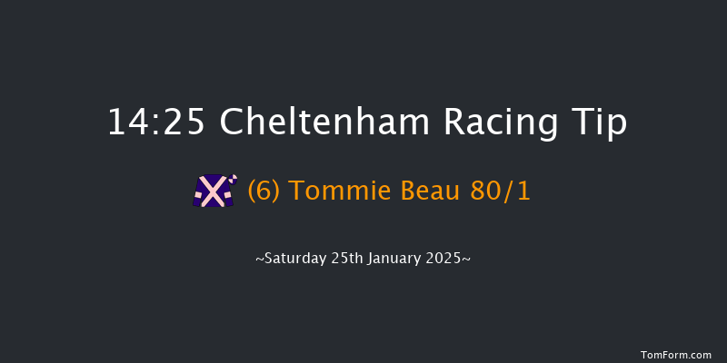 Cheltenham  14:25 Conditions Chase (Class 1) 25f Wed 1st Jan 2025
