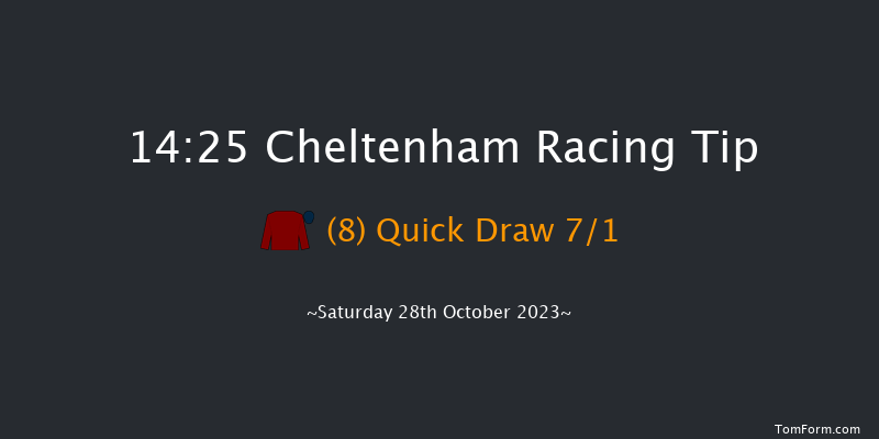 Cheltenham 14:25 Handicap Chase (Class 2) 25f Fri 27th Oct 2023