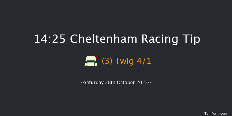Cheltenham 14:25 Handicap Chase (Class 2) 25f Fri 27th Oct 2023