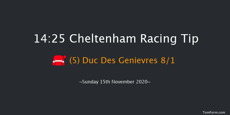 Shloer Chase (Registered As The Cheltenham Chase) (Grade 2) (GBB Race) Cheltenham 14:25 Conditions Chase (Class 1) 16f Sat 14th Nov 2020
