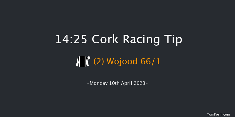 Cork 14:25 Handicap Hurdle 16f Sun 9th Apr 2023