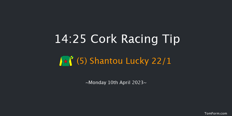 Cork 14:25 Handicap Hurdle 16f Sun 9th Apr 2023