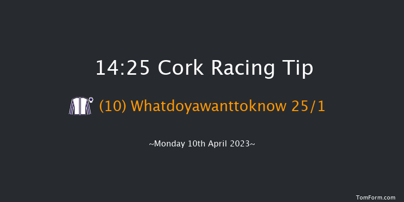 Cork 14:25 Handicap Hurdle 16f Sun 9th Apr 2023