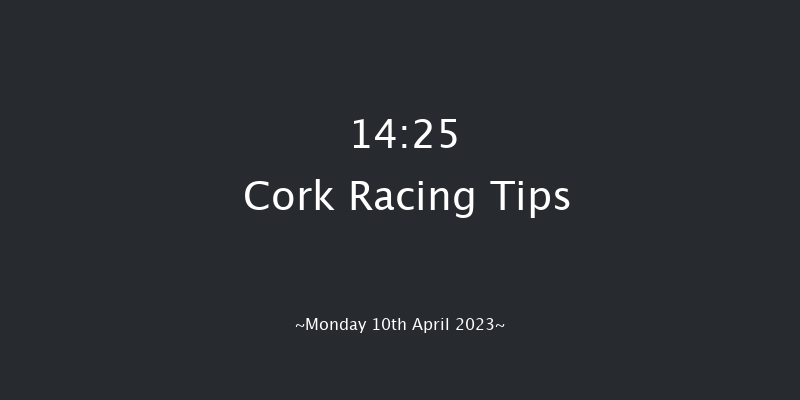 Cork 14:25 Handicap Hurdle 16f Sun 9th Apr 2023