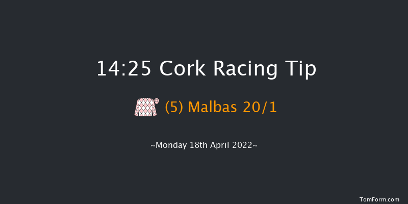 Cork 14:25 Handicap Hurdle 16f Sun 17th Apr 2022