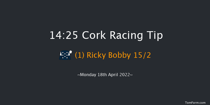 Cork 14:25 Handicap Hurdle 16f Sun 17th Apr 2022