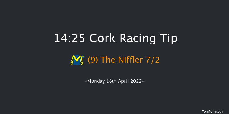 Cork 14:25 Handicap Hurdle 16f Sun 17th Apr 2022