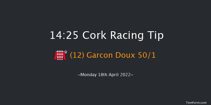 Cork 14:25 Handicap Hurdle 16f Sun 17th Apr 2022
