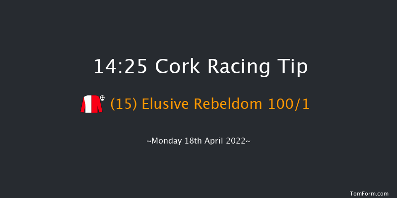 Cork 14:25 Handicap Hurdle 16f Sun 17th Apr 2022
