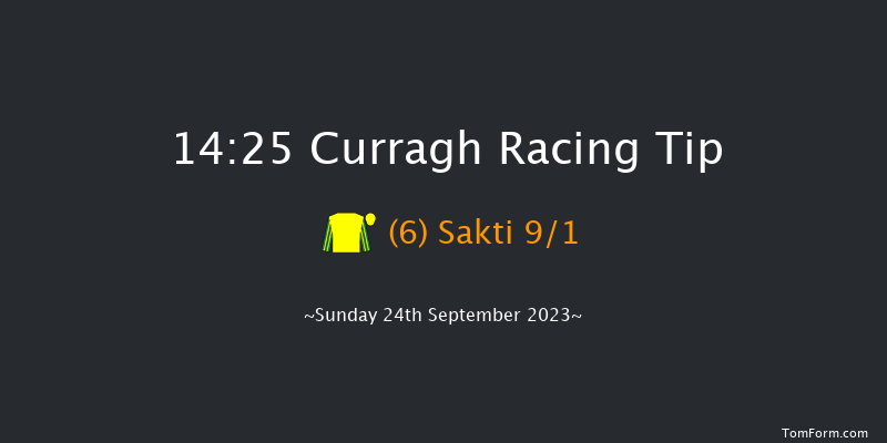 Curragh 14:25 Group 3 7f Sat 23rd Sep 2023