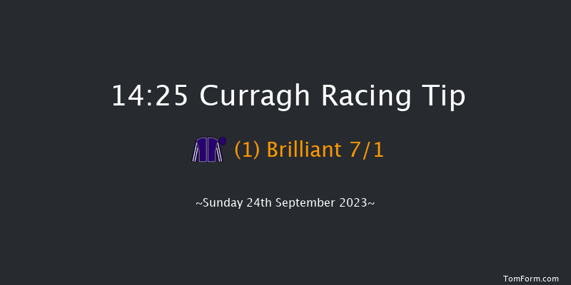 Curragh 14:25 Group 3 7f Sat 23rd Sep 2023