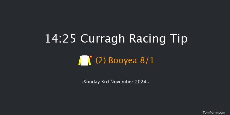 Curragh  14:25 Handicap 8f  Tue 22nd Oct 2024