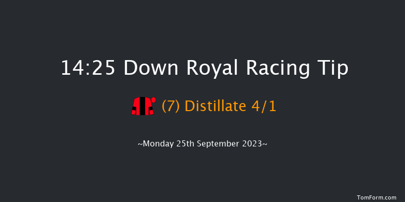 Down Royal 14:25 Handicap 5f Fri 8th Sep 2023