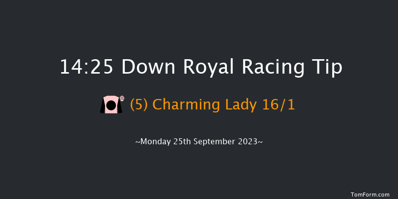 Down Royal 14:25 Handicap 5f Fri 8th Sep 2023