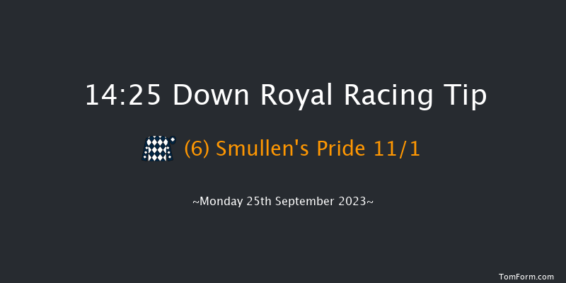 Down Royal 14:25 Handicap 5f Fri 8th Sep 2023